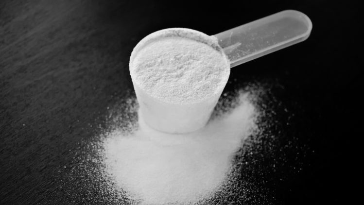 milchprotein-stage